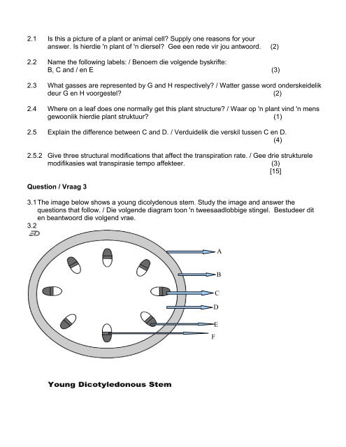 CONTROL TEST – GRADE 10