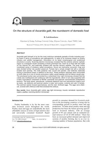 On the structure of Ascaridia galli, the roundworm of domestic fowl
