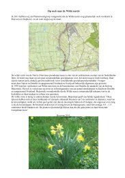 Website Rouveen Wilde narcis met foto_s versie 2.pdf