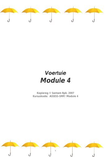 Module 4 - Santam