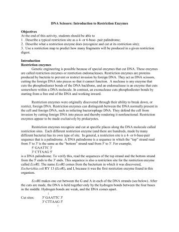 biology simulator assignment The assignment of tokens to an entity a simulation is made up of a series of. biology simulator assignment The assignment of tokens to an entity a simulation is made up of a series of.