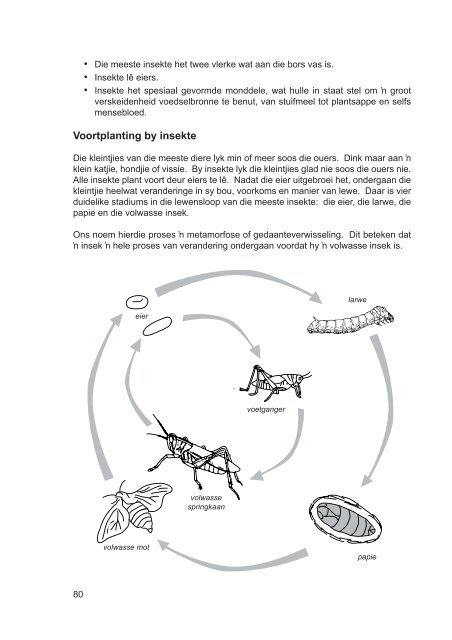 Reptiele