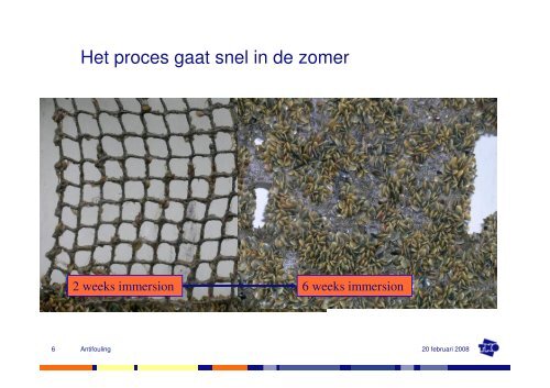 Antifouling in de jachtbouw - Nhl