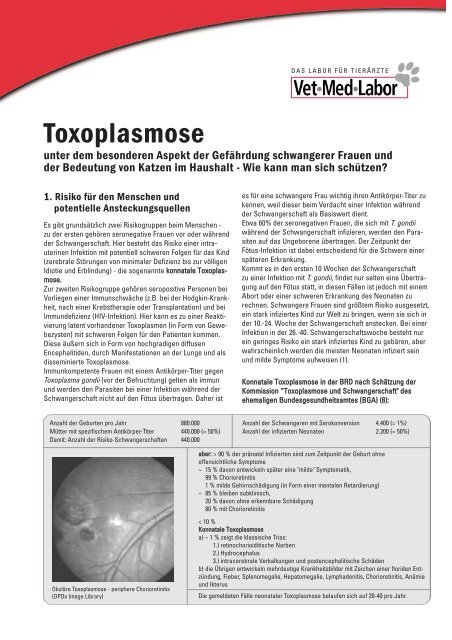 Toxoplasmose Mobile Tierarztpraxis