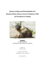 Raumverteilung und Bestandsdichte der Braunen Hyäne (Hyaena ...