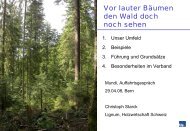 vor lauter Bäumen den - Mundi Consulting