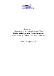 PDF Bericht Markstudie Exportberatung - Mundi Consulting