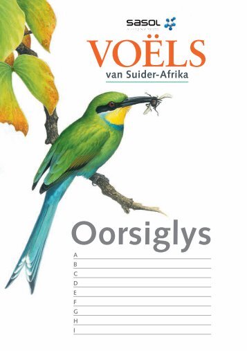 Oorsiglys