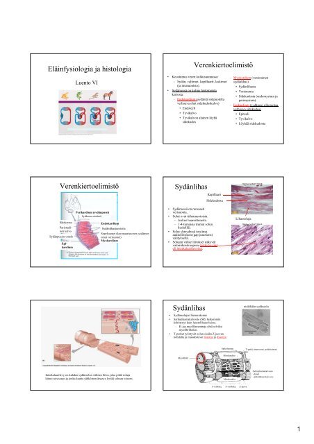 Eläinfysiologia ja histologia Verenkiertoelimistö ... - Joensuu