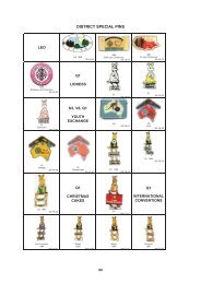 20 Special District & Award Pins.pdf - Lions Clubs Australia