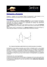ETQ 34 x 75 mm 232430