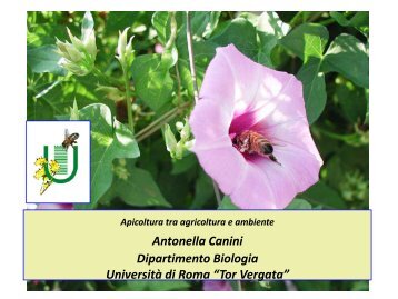 Diapositiva 1 - Università degli Studi di Roma Tor Vergata