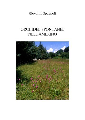 Orchidee Spontanee nell'Amerino.pdf