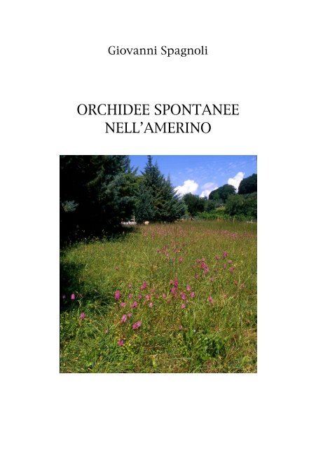 Orchidee Spontanee nell'Amerino.pdf