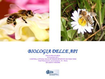 BIOLOGIA E FISIOLOGIA DELL'APE - Istituto Zooprofilattico ...