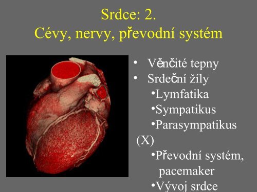 Sd - Anatomický ústav 1.LF UK - Univerzita Karlova