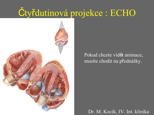 Sd - Anatomický ústav 1.LF UK - Univerzita Karlova