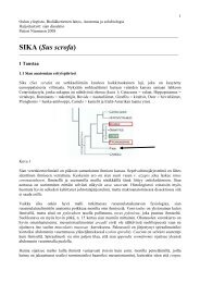 SIKA (Sus scrofa) - Oulun yliopisto