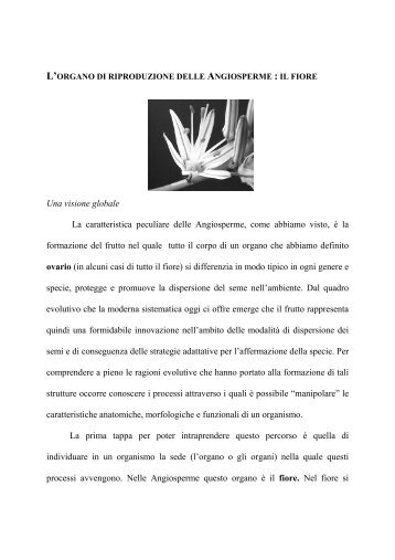 l'organo di riproduzione delle angiosperme - CSDIM