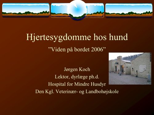PDF-file