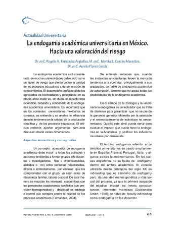 La endogamia académica universitaria en México. Hacia una ...