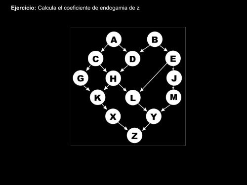 5.- Endogamia