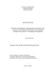 Praca doktorska A KLECHA.pdf