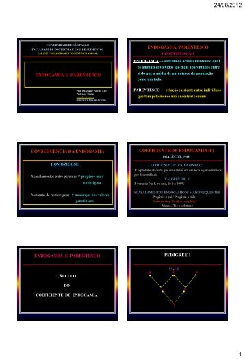 ENDOGAMIA E PARENTESCO ENDOGAMIA/ PARENTESCO ... - USP