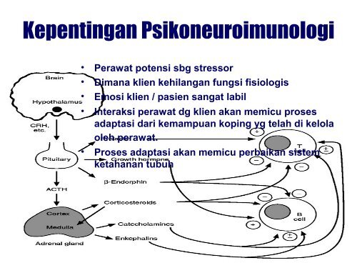 kepentingan psikoneuroimunologi dalam keperawatan - Fakultas ...
