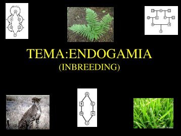 TEMA:ENDOGAMIA