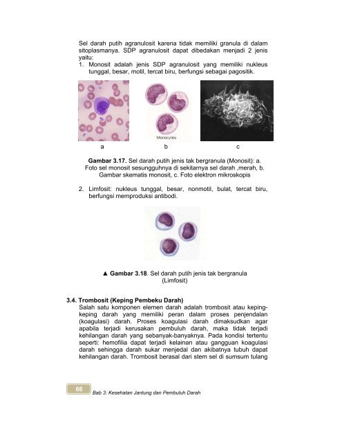 Kelas X_SMK_ilmukesehatan_heru-n.pdf