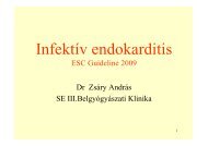infektív endocarditis - III. SZ. BELGYÓGYÁSZATI KLINIKA