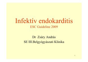 infektív endocarditis - III. SZ. BELGYÓGYÁSZATI KLINIKA