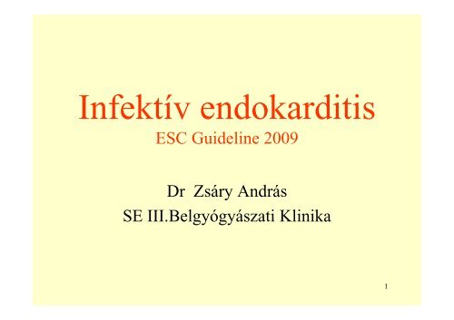 infektív endocarditis - III. SZ. BELGYÓGYÁSZATI KLINIKA
