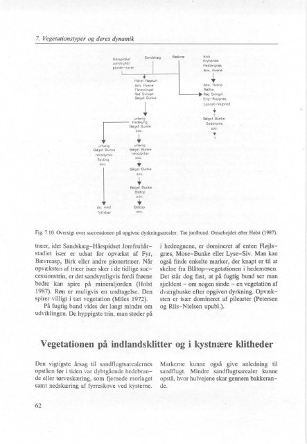 Hedeplejebogen - Naturstyrelsen