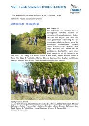 NABU Lauda Newsletter 11/2012 (11.10.2012)