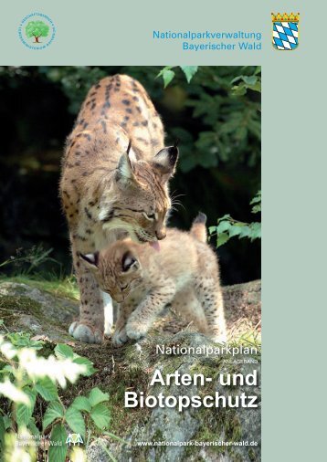 Arten- und Biotopschutz - Nationalpark Bayerischer Wald