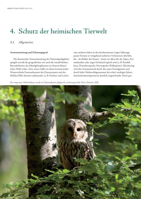 Arten- und Biotopschutz - Nationalpark Bayerischer Wald