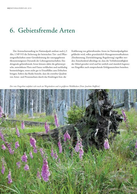 Arten- und Biotopschutz - Nationalpark Bayerischer Wald