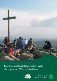 Der Nationalpark Bayerischer Wald als regionaler Wirtschaftsfaktor