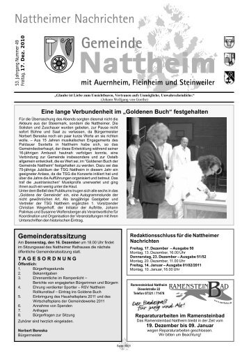 Gemeinderatssitzung - Nattheim
