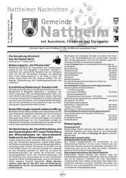 Die Verwaltung informiert: Aus der Gemeinderat ... - Nattheim