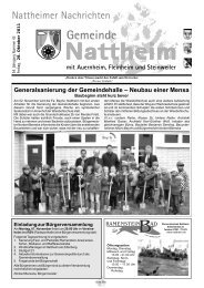 Generalsanierung der Gemeindehalle ? Neubau einer ... - Nattheim