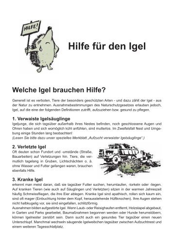 Hilfe für den Igel - Tierheim Schwerte