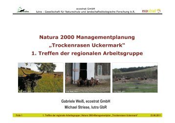 Natura 2000 Managementplanung „Trockenrasen Uckermark“ 1 ...