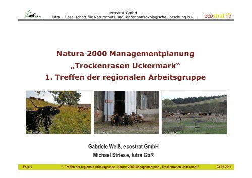 Natura 2000 Managementplanung „Trockenrasen Uckermark“ 1 ...