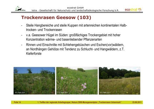 Natura 2000 Managementplanung „Trockenrasen Uckermark“ 1 ...