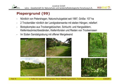 Natura 2000 Managementplanung „Trockenrasen Uckermark“ 1 ...