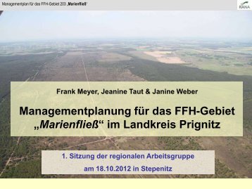 Managementplanung für das FFH-Gebiet „Marienfließ“ im Landkreis ...