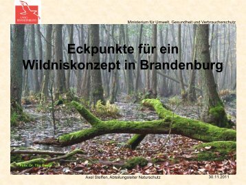 Eckpunkte für ein Wildniskonzept in Brandenburg - NaturSchutzFonds